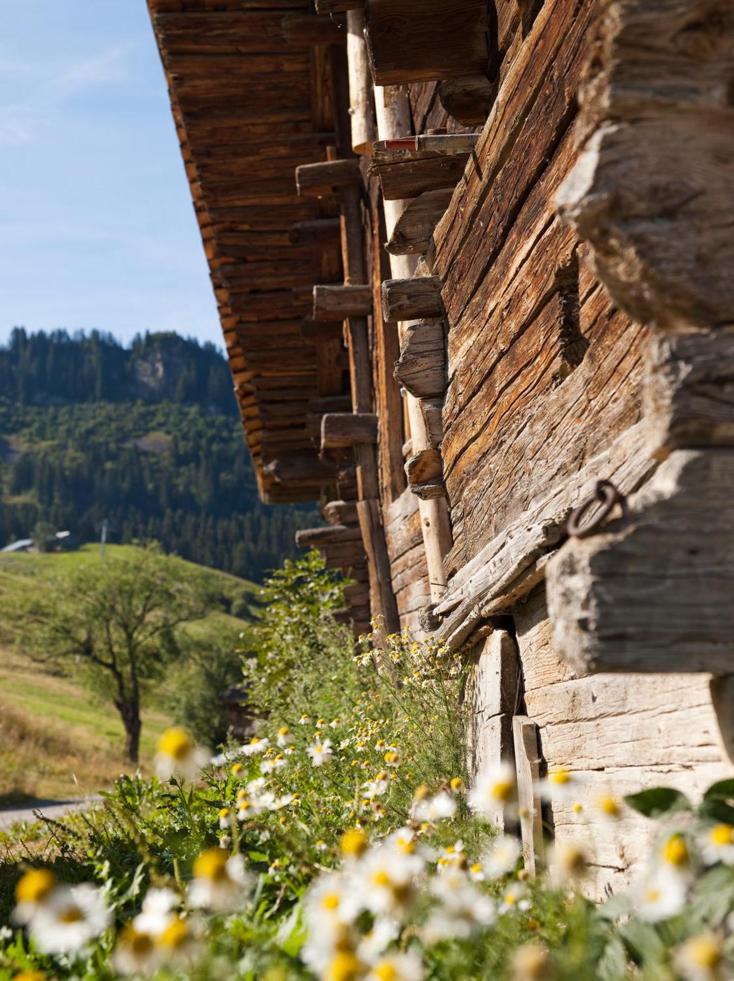 Mgm Hotels & Residences - Residence Le Roc Des Tours Le Grand-Bornand Εξωτερικό φωτογραφία